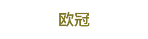 欧冠 Logo